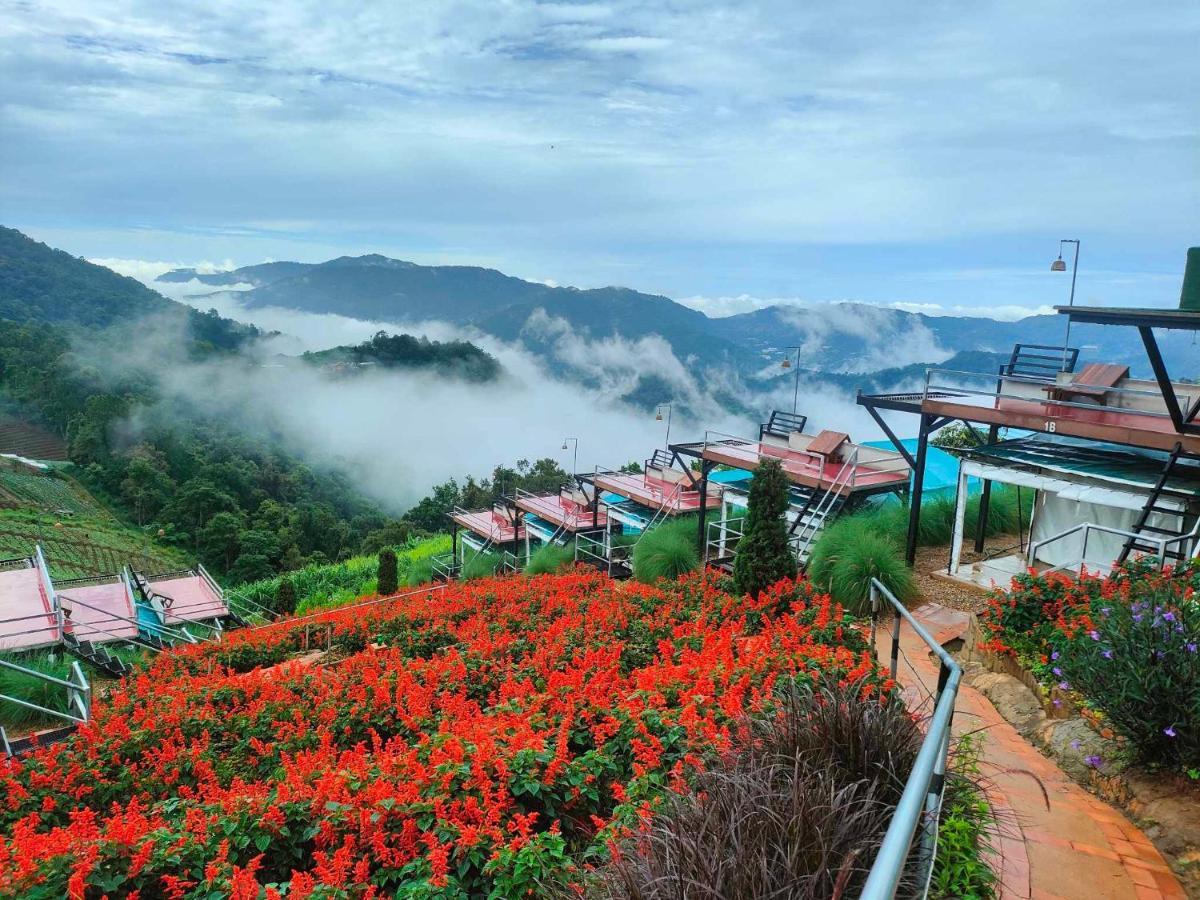 แสงเหนือแคมป์ปิ้งม่อนแจ่ม Otel Ban Mae Raem Dış mekan fotoğraf